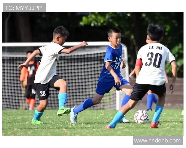 选足球明星来踢球是否能提升比赛观赏性和竞技水平的探讨